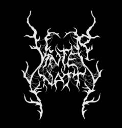 logo Vinternatt (SVN)